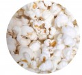 POPCORN 1.png