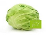 KAPUSTA BIAŁA MŁODA EKOLOGICZNA 1KG BIO-EKO