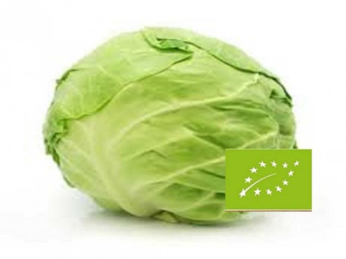 KAPUSTA BIAŁA MŁODA EKOLOGICZNA 1KG BIO-EKO