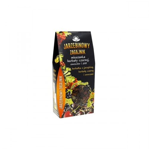 Herbatka z jarzębiną, herbatą czarną i owocami 100g Natura Wita