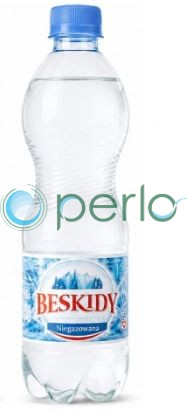beskidy 0,5 niegaz.JPG